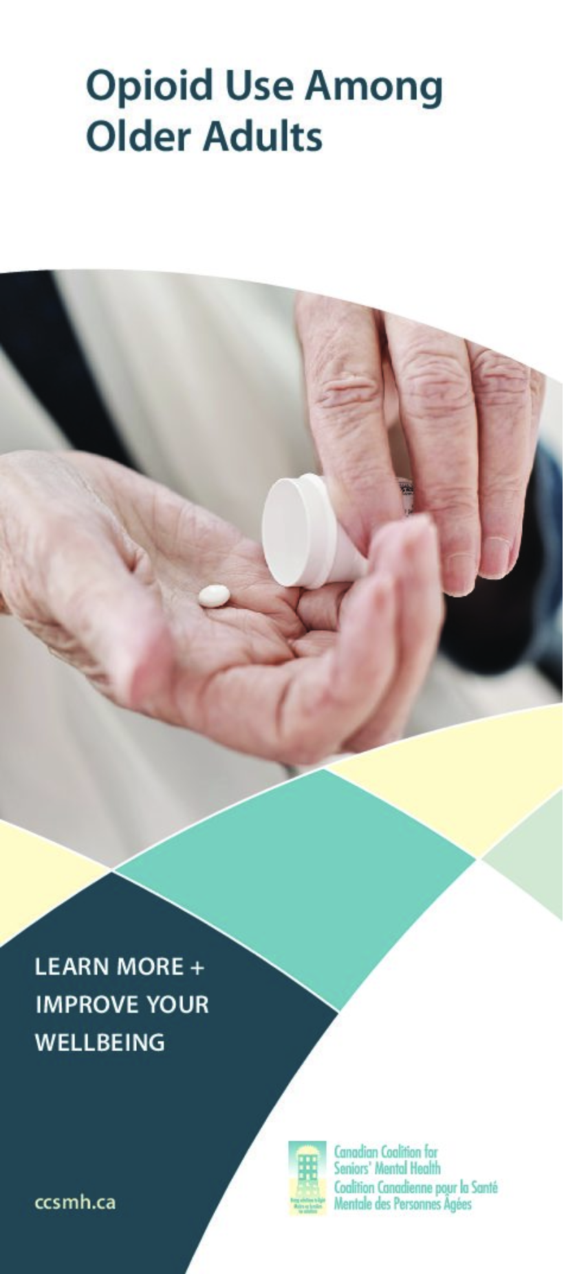 opioid use brochure cover image